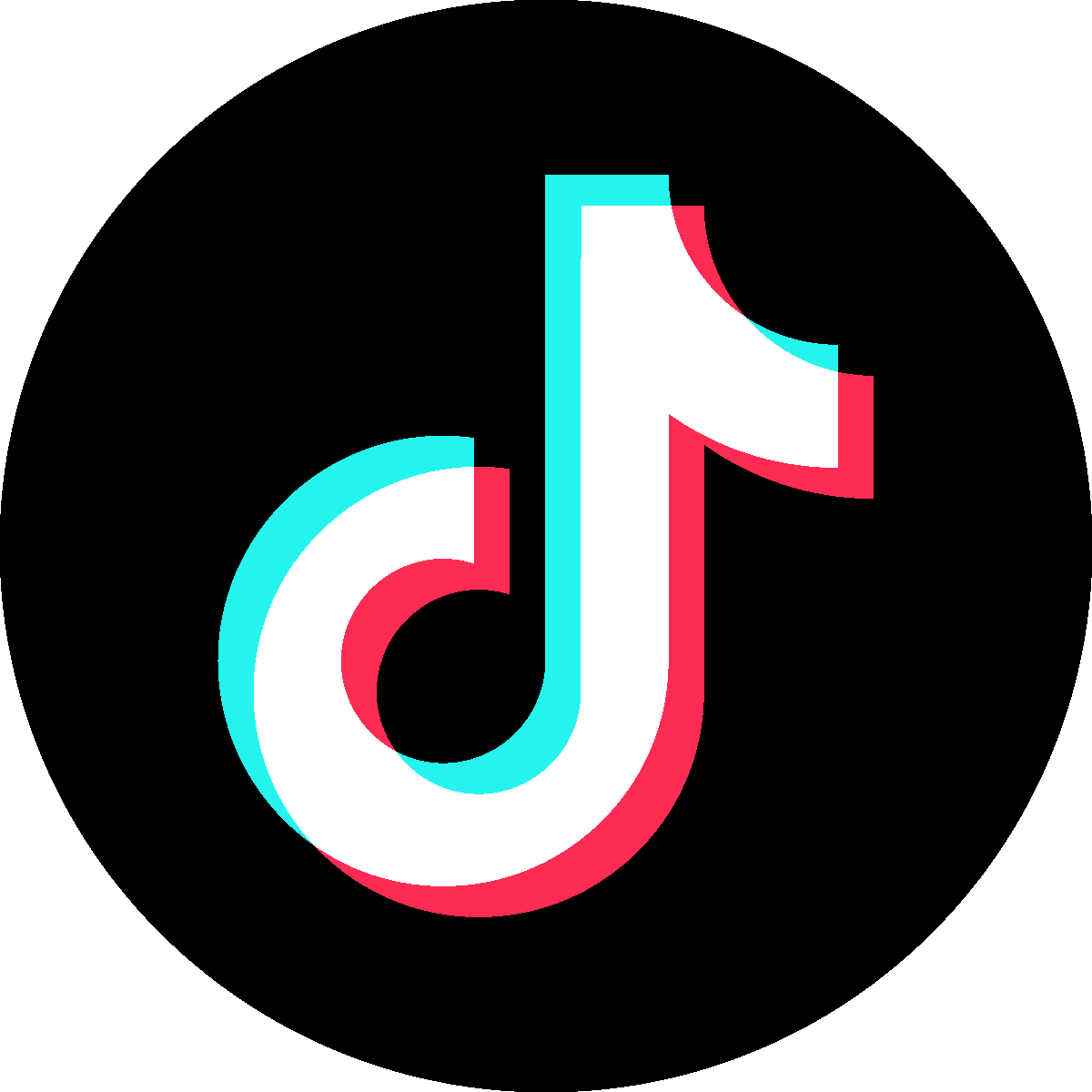 Link to TikTok.