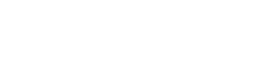 Link to TikTok.